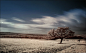 A Showcase of Infrared Photography