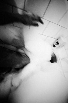 木有更多了(●─●)采集到thus lost ` 才没有情绪 ☔