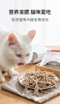 猫咪零食小鱼干猫零食淡水无盐增肥营养发腮成猫幼猫小鱼仔磨牙棒-淘宝网