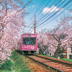 道金司Dawkins采集到场景-街景