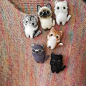 戳戳乐材料包DIY羊毛毡猫咪胸针礼物创意成人情侣手工制作玩偶-淘宝网
