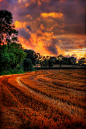 4redbelts:

lovemeravilla:

L.M

4rb