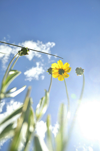 photo #春暖花开# #美景# #摄...