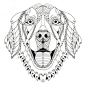 Golden retriever dog zentangle stylized head, freehand pencil, hand drawn, pattern. Zen art. Ornate vector.