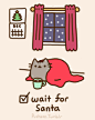 Pusheen the cat