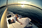 Wedding on a yacht trip | water, couple, nature, trip, yacht