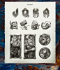 slot game Slots Game Art Casino Game game concept viking mobile game game Character design  Digital Art 