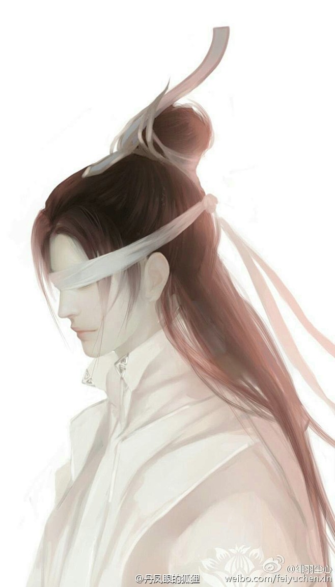 丹凤眼的狐