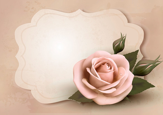 粉色玫瑰花和标签背景矢量素材