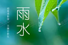 雨水海报 【酷图网】夏季,水滴,绿植,高清壁纸,小清新,植物,梦幻,雨季,节气