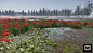 Ghost of Tsushima - Red Spider Lily Biome