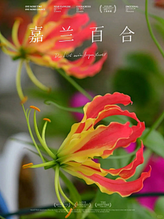 帅帅苍采集到花