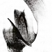 水墨免扣素材png