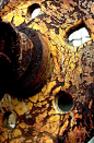 Rust | さび | Rouille | ржавчина | Ruggine | Herrumbre | Chip | Decay | Metal | Corrosion | Tarnish | Texture | Colors | Contrast | Patina | Decay |