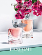 lancome-summer_20162.jpg