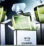 Prix du Meilleur Parfum Féminin : eau de Parfum n° 19 Poudré de Chanel