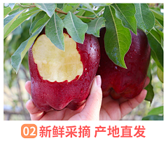 张峰K采集到花牛
