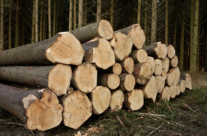 木-holzstapel-林业工人-柴-...