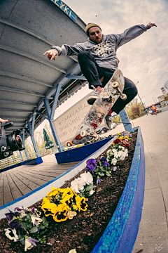 ArchitecKing采集到SKATEBOARD AND HIS KIDS