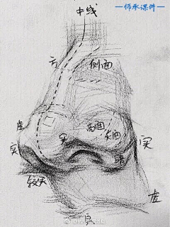 YUNZIan0-樱子采集到J【结构】鼻子