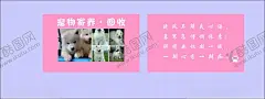 宠物寄养回收 【酷图网】宠物,寄养回收,名片,宝贝,食物