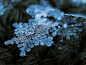 来自俄罗斯的摄影师Alexey Kljatov利用显微摄影，为我们呈现了雪花的美丽的冰蓝色细节！
