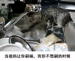你的表情包来了