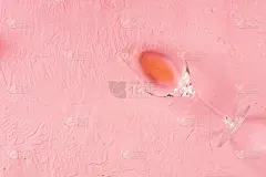 玫瑰酒，在粉红色的背景下从上面拍摄