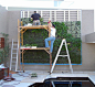 Icon Tower Penthouse » GSky Plant Systems, Inc. - The leading provider of Green Walls in North America