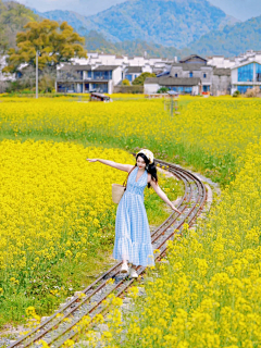 ゛也~许采集到花海