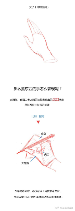 一吖~采集到A-人体结构