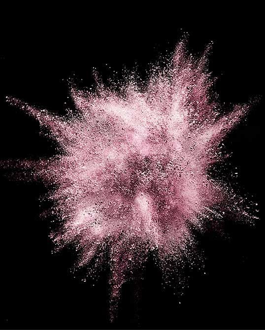Fabrice Bouquet - be...