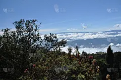 哥斯达黎加伊拉苏火山的农业斜坡，土壤肥沃，向阳的斜坡上有许多作物。山谷被悬在火山锥下的云层所包围。