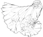 webp