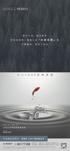 baowenxiaogege采集到微信