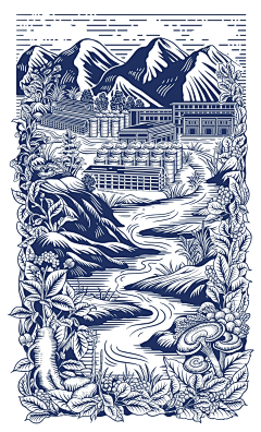 AlvanT采集到插画