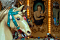 Vintage carousel horse in Florence, Italy