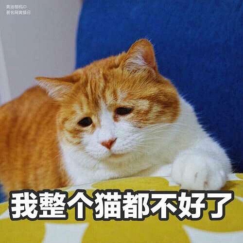 我以血和泪的经验，告诉大家真的不要随便使...