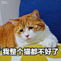我以血和泪的经验，告诉大家真的不要随便使用网上...