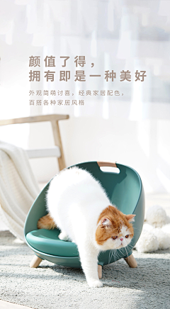 桃桃03采集到猫砂盆