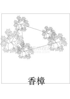 姬木香采集到植物造景