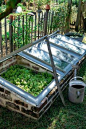 A mini greenhouse made from recycled bricks & windows.