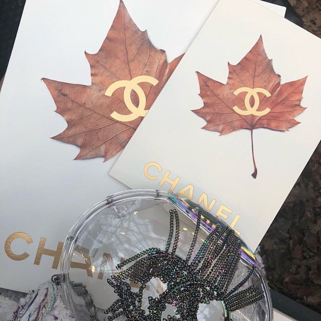 CHANEL FALLWINTER 20...