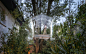 Broissin Arquitectos Reinterprets the Tree House in Glass - Image 1 of 16