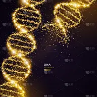 黑色背景上的金色DNA