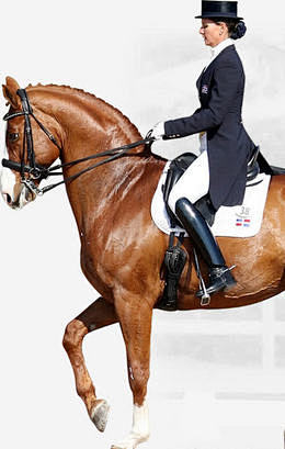 西装骑马的女骑士