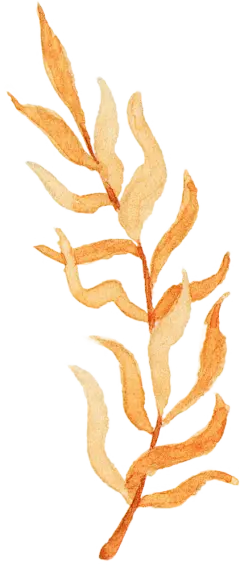 秋季秋天水彩金黄色唯美花环叶子卡片手账贺卡PNG免扣装饰PS素材
