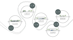麦子-芒-穗采集到分析图