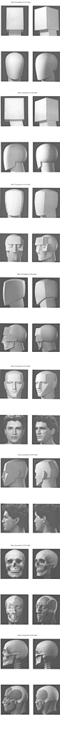 head
