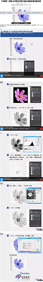 PS教程！简单几步把花卉照片制作成圆珠笔绘画效果-平面设计ps教程cdr和ai教程-微头条(wtoutiao.com)